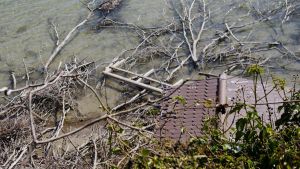 Unwetterschäden am Uferweg: Gemeinderat berät über dringende Sanierung