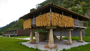 El Gobierno declara los hórreos del norte de España, entre ellos los asturianos, Patrimonio Cultural Inmaterial