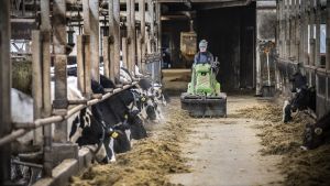 Talous | Lukijalta: Harjoittelupaikka on halvin vakuutus nuorten tulevaisuudelle