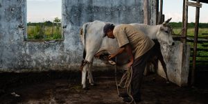 Cuba’s Third Chance