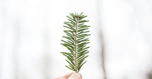 Misreading Success: Life’s Most Underrated Virtue