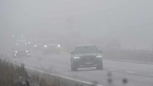 Advarer bilister: Risiko for tæt tåge i nat
