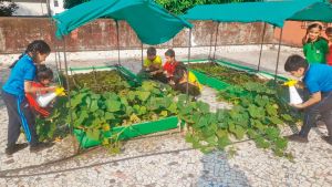 Schools must take a leaf out of Matunga’s terrace garden initiative