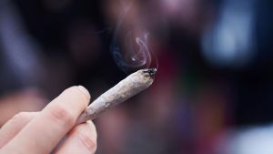 Bericht zu Cannabislegalisierung: Deutschland jetzt XL-Markt