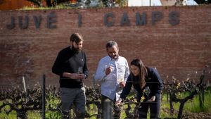 La histórica Juvé & Camps abandona la denominación de origen Cava y se pasa a Corpinnat