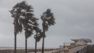 El clima mediterráneo: de los episodios al sistema