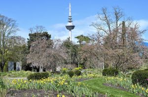 Sparmaßnahmen im Mannheimer Luisenpark sind erträglich – noch
