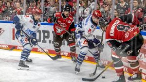 Eishockey-Wahnsinn mit bitterem Ende! Die Wild Wings scheiden aus