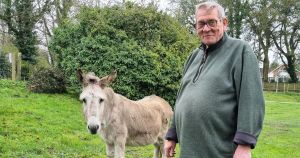 Quest continues to find lonely Gary the donkey a forever friend