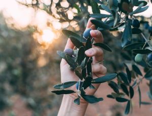 Ζηµιογόνα και κοστοβόρα… αντιαγροτική πολιτική