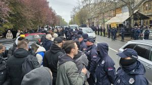 Svaka čast, profesore Vuletiću