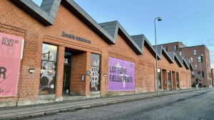 Studiner beluret og filmet gennem vinduer: Derfor er flere stadig uidentificered...