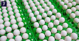 Was plötzlich alles Mangelware ist