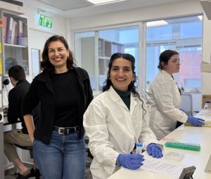 Say bye-bye to bitter herbs: Israeli researchers’ work aims to pass over tart tastes