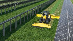 Agrivoltaico a Torre di Fine, parla l’ad: «Benefici per i Comuni: distribuiremo 600 mila euro l’anno»