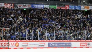 Playoff-Aus für die Schwenninger Wild Wings – zu viele Schwachstellen wurden nicht beseitigt