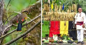 This Tribe Turned a Poaching Hotspot Into a Wildlife Reserve Earning Rs 50 Lakh