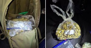 Two men arrested after bags of cannabis found during police raid
