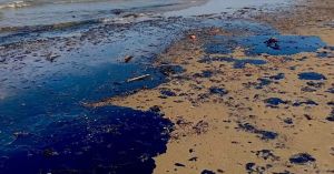 ¡Qué suerte que es ambientalista! Que si no…