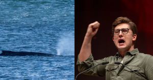 Lieber Philipp Türmer, die SPD ist nicht Buckelwal Timmy, sondern die „Titanic“