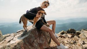 Wandern mit Hund: Hier droht Gefahr