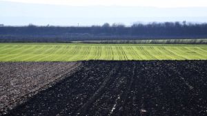 DRI: Preporuke o korišćenju poljoprivrednog zemljišta donele u budžet 114 miliona dinara