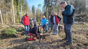 350 Bäume für das Klima: Freiwillige forsten Fläche mit resistenten Arten auf