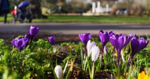 What will the weather be like in Norfolk this Easter bank holiday?