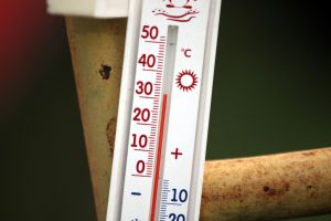 Ученый-климатолог рассказал, возможно ли на Земле повышение температуры до +60 градусов