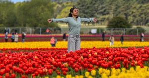 7 major events and things to do in Norfolk this April