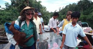 Mort de Biruté Galdikas : merci aux grandes primatologues, pardon aux grands singes