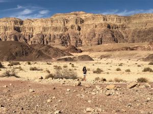 Running, The Flight.