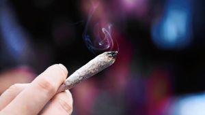 Ein verpeiltes Gesetz: Zwei Jahre Cannabis-Freigabe und noch immer kein Plan