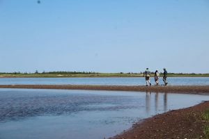 COMMENTARY: Three provinces, one coastline, zero co-ordination