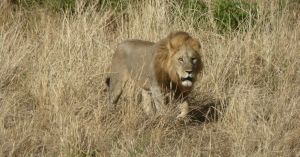 The Negativity Bias Impacts Everything in Our Lives