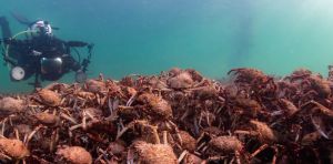 Want to be a citizen scientist? Here are 5 ways to get involved