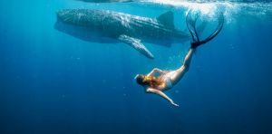 New Stan film Whale Shark Jack is a kid‑focused tribute to WA’s awe‑inspiring coastline