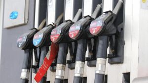 Deutsche Langsamkeit: Bei einem Preisschock reicht kein Zucken