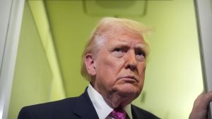 Expertin: Trumps Zollversprechen gehen nicht auf