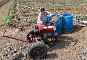 Las claves: la necesidad de adoptar medidas severas con la energía está cada vez más cerca