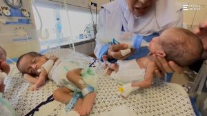 Cuestiones de guerra