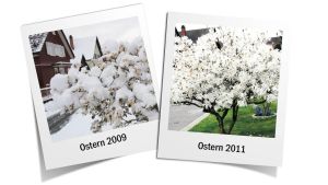 Können wir die Ostereier draußen suchen? Eine Prognose fürs Osterwetter