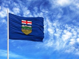 AIMCo returns 7.5% in 2025 amid private market headwinds