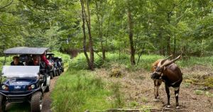 Award-winning wildlife reserve launches new exclusive tours