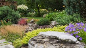 Biljke koji mnogi sade uz kuću, a koje privlače zmije