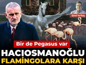 Hacıosmanoğlu flamingolara karşı: Bir de Pegasus var