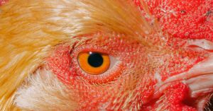 Tastelessness and Classlessness Are the Least of Our Concerns