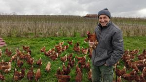 Warum Eier zu Ostern teurer und knapper sind
