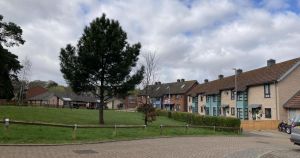 Woman and child injured after being attacked by a dog