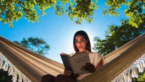 Se Anitta lesse Cecília Meireles